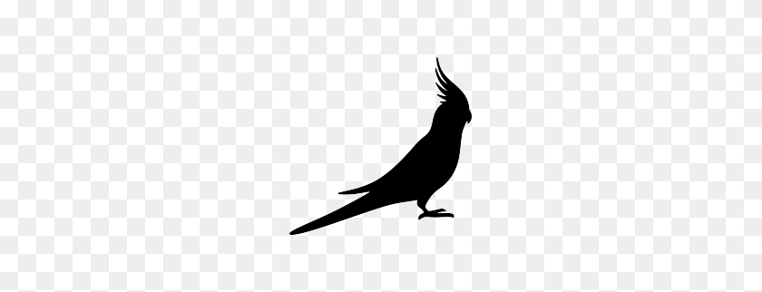 263x262 Cockatiel Silhouette Silhouette Silhouette, Bird - Parrot Clipart Black And White