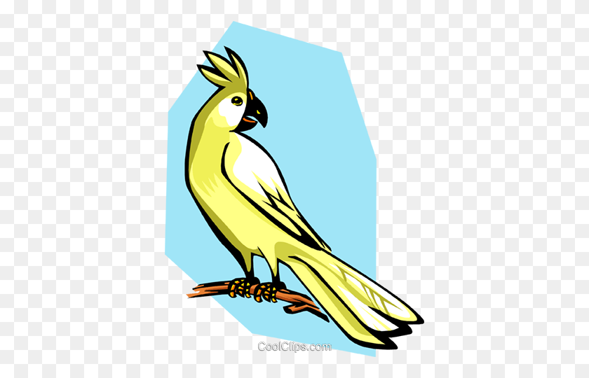 370x480 Cockatoo Royalty Free Vector Clip Art Illustration - Songbird Clipart
