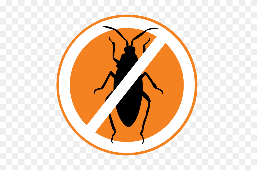 500x496 Cockroach Control Adelaide Cockroach Control - Timber Clipart