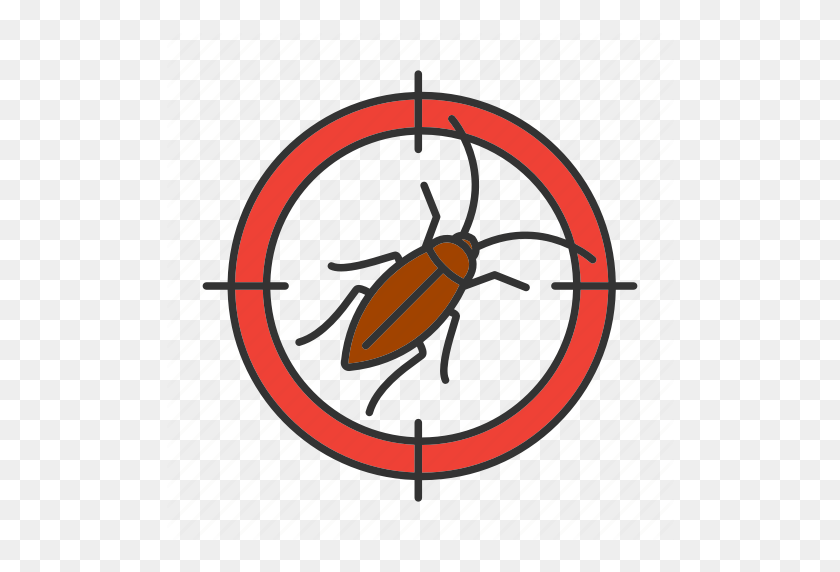 512x512 Cockroach, Control, Insect, Pest, Roach, Search, Target Icon - Cockroach PNG
