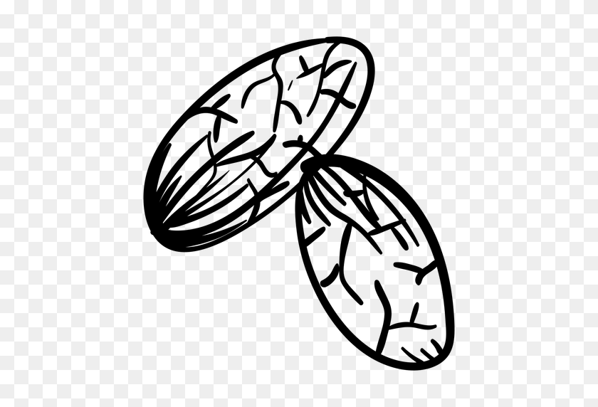 512x512 Cocoa Beans Hand Drawn - Beans PNG