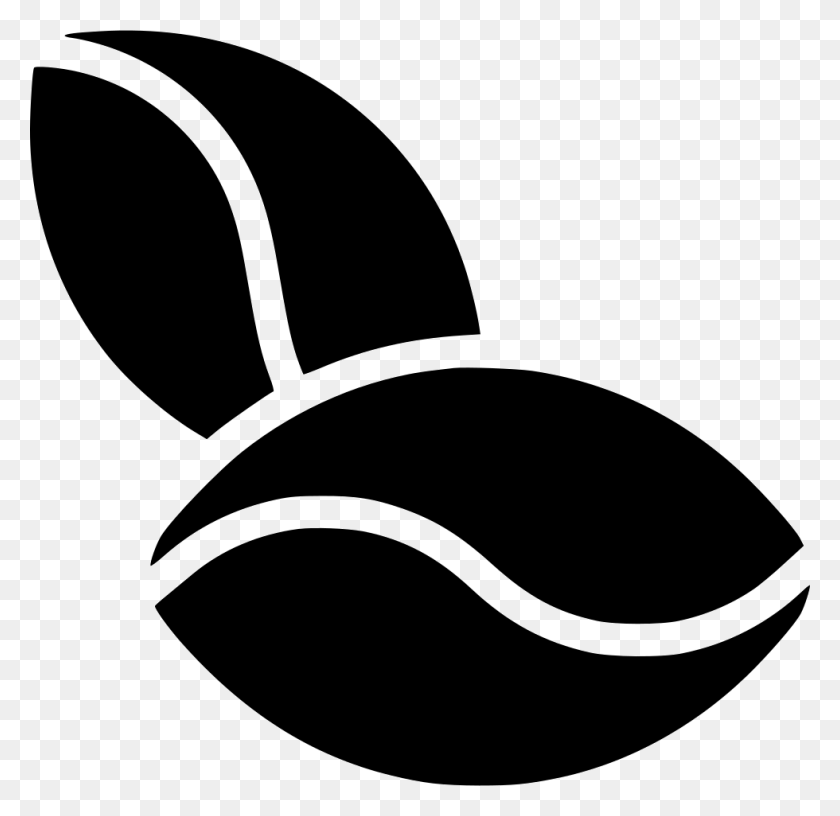 980x950 Cocoa Beans Png Icon Free Download - Beans PNG