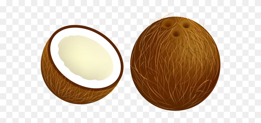 Coconut Clipart Clip Art - Nut Clipart