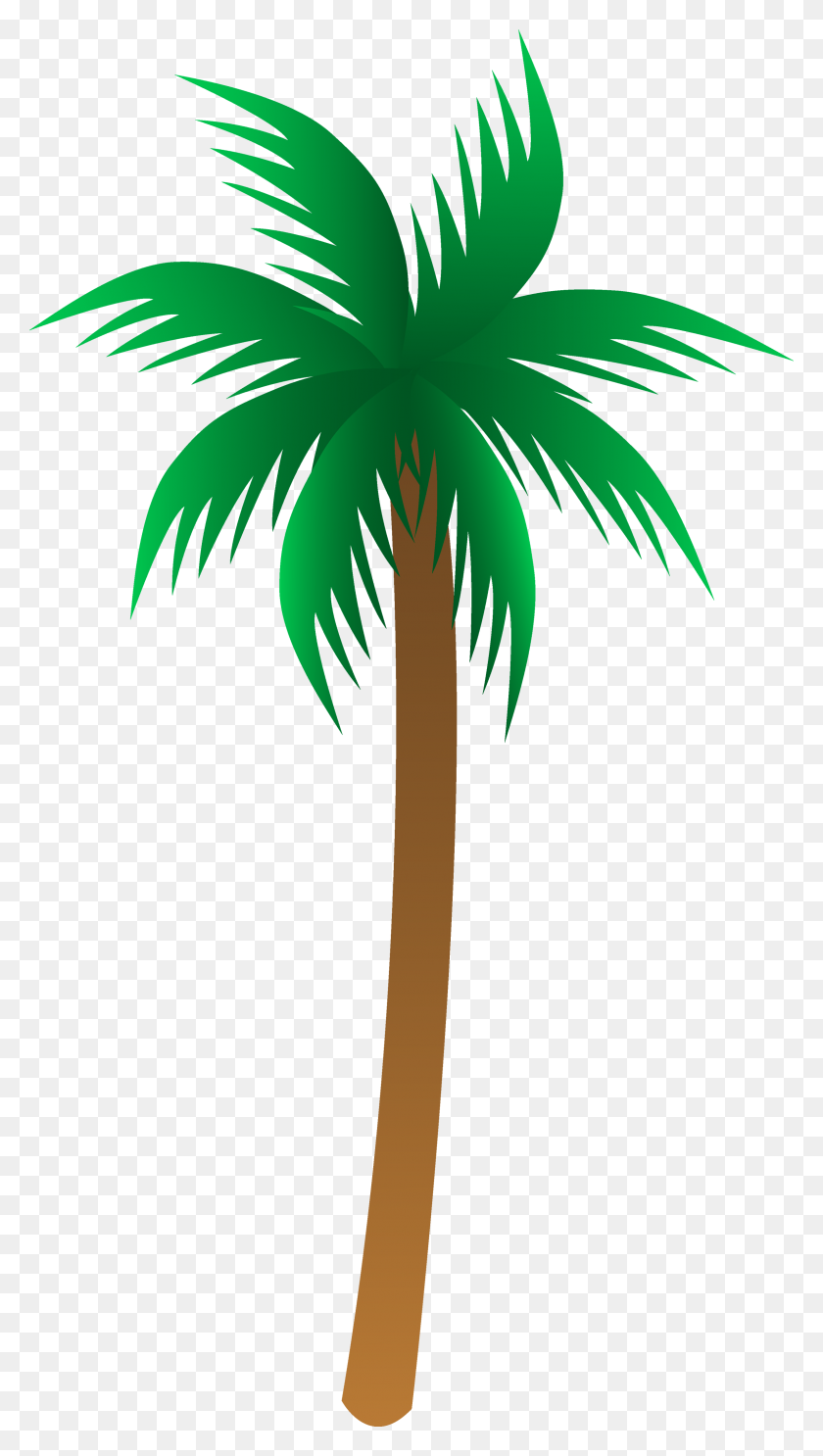 2380x4352 Coconut Clipart Date Tree - Tropical Leaves Clipart