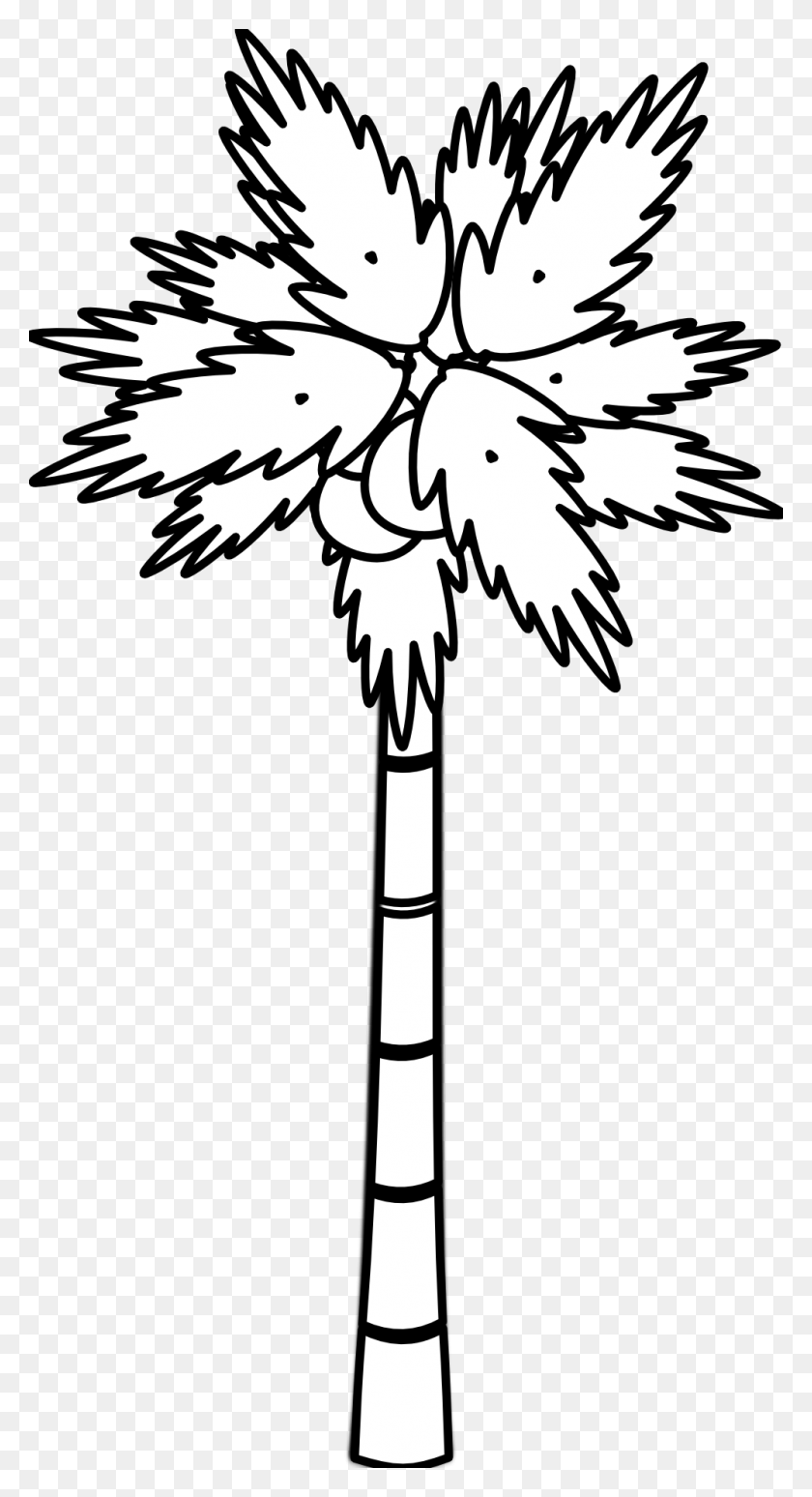 999x1906 Coconut Clipart Trunk - Broom Clipart Black And White