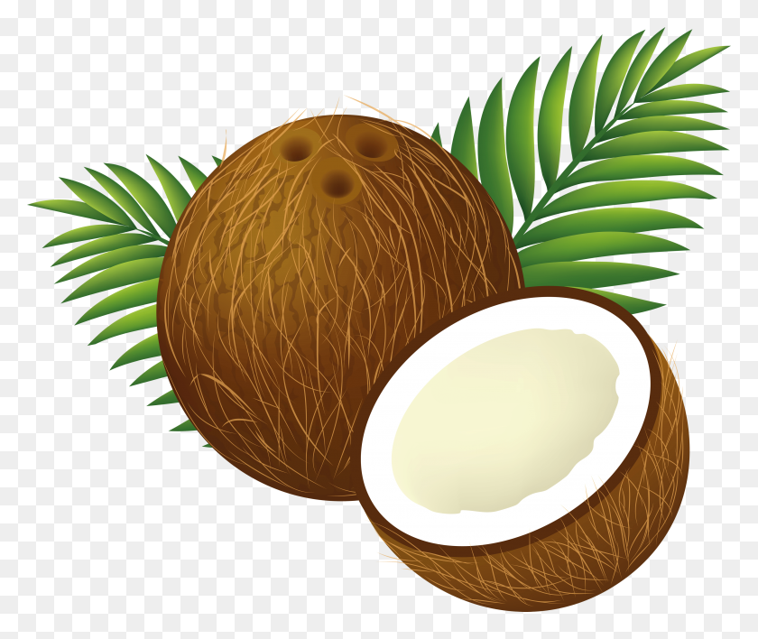 3500x2912 Coconut Cliparts - Palm Tree With Coconuts Clipart