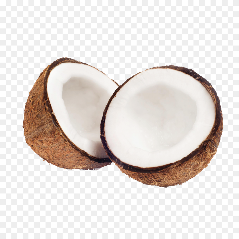 1022x1022 Coconut Oil - Coconut PNG
