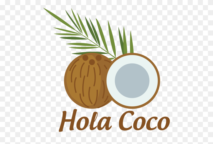 500x507 Coconut Oil Hair Mask Hola Coco Free Shipping - Hola PNG