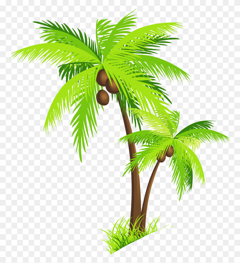6146x6787 Coconut Palm Clip Art - Tropical Leaves Clipart