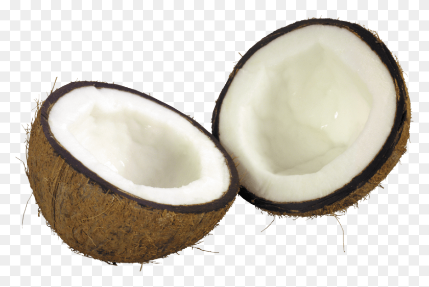 850x548 Coconut Png - Coconut PNG