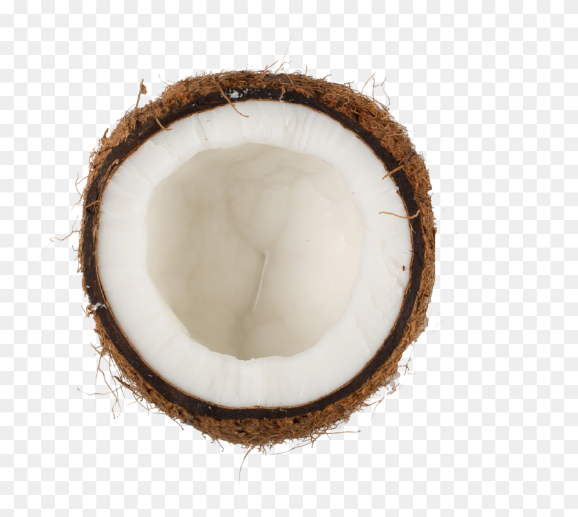 1000x888 Coconut Png Hd Images - Coconut PNG