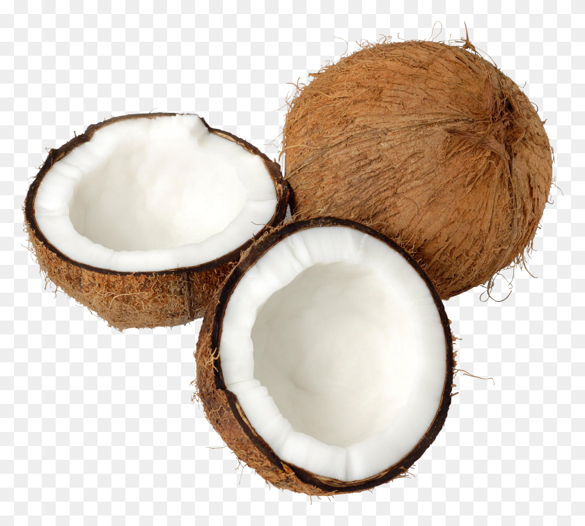 2492x2223 Coconut Png Images Free Download - Coco PNG