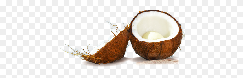 440x210 Coconut Png Transparent Free Images Png Only - Coconut PNG