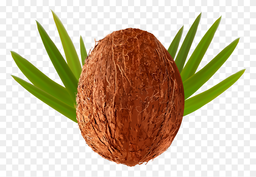 6000x4011 Coco Png