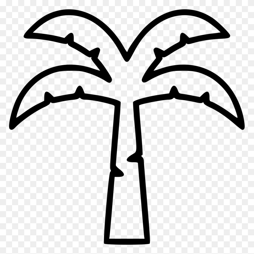 981x984 Coconut Tree Png Icon Free Download - Coconut Tree PNG