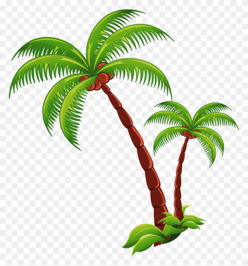 1218x1316 Coconut Tree Png Picture Png Arts - Oak Tree PNG