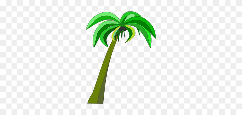 263x340 Coconut Water Palm Trees Fruit Drawing - Palm Frond PNG