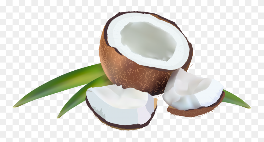 6242x3161 Coconut With Leaves Png Clipart - Coconut PNG