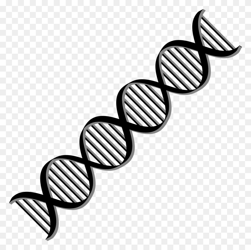 2198x2194 Code Clipart Dna - Dna Strand PNG