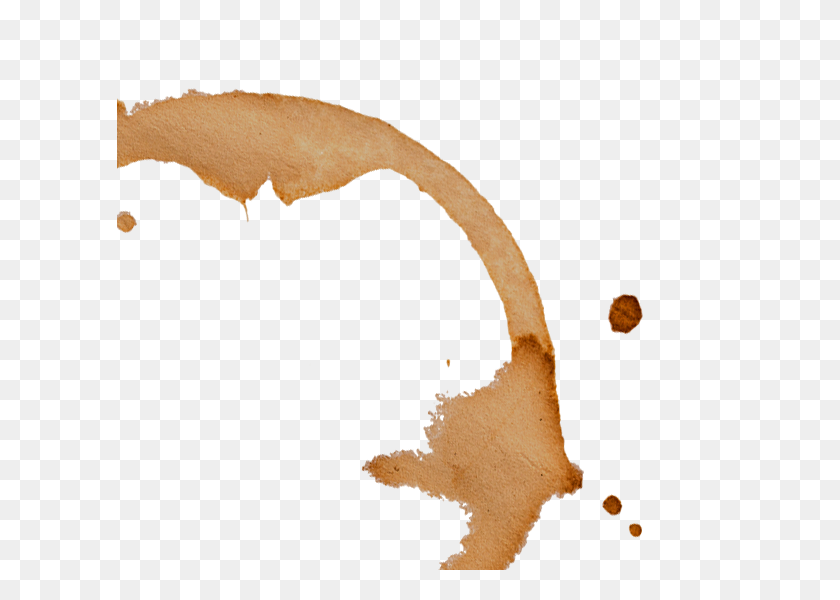 606x540 Coffee Ring The Design Cafe - Coffee Ring PNG