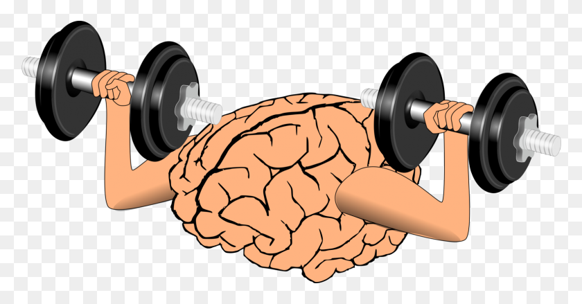 1542x750 Когнитивный Тренинг Обучение Познанию Мозга - Тренировочный Клипарт