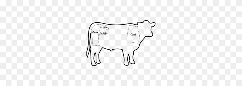 300x240 Collection Of Angus Cow Drawing Download Them And Try To Solve - Calf Clipart Black And White