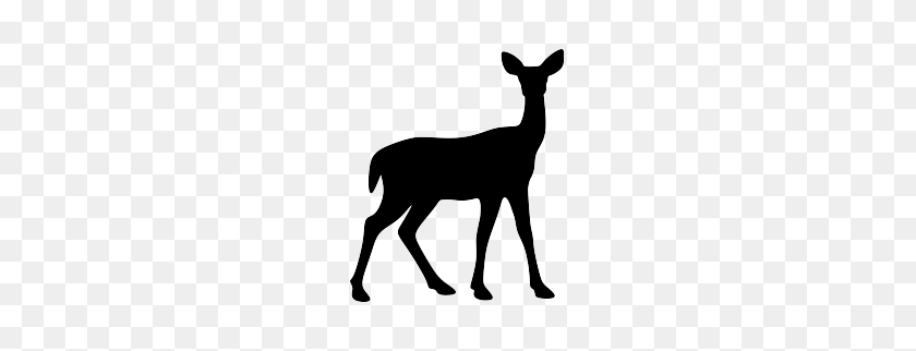 263x262 Collection Of Deer And Doe Silhouette Download Them And Try To Solve - Deer Clipart Black And White