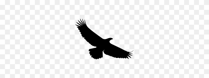 256x256 Коллекция Силуэтов Орлиных Крыльев Скачать Их И Попытаться Решить - Eagle Wings Clipart