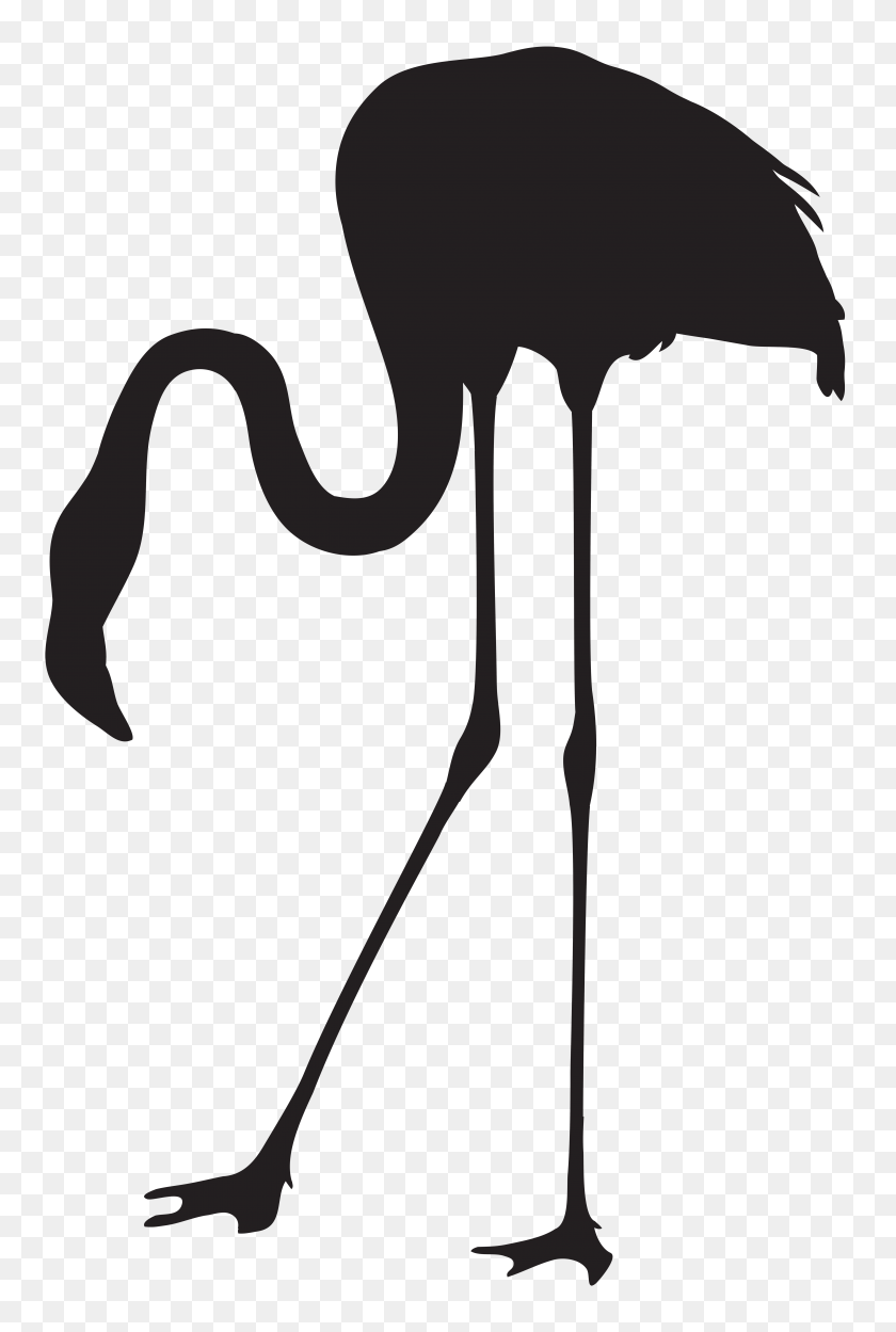 5246x8000 Collection Of 'flamingo Silhouette Clip Art' Download More Than - Beauty And The Beast Clipart Black And White