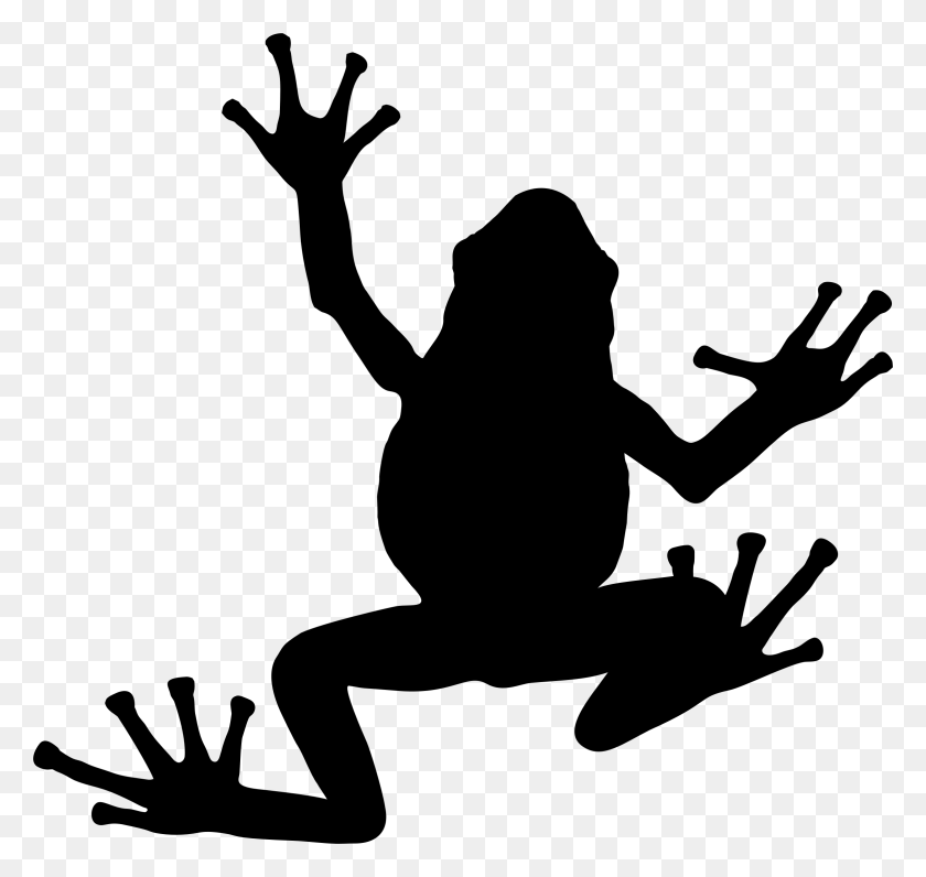 2344x2214 Collection Of Frog Silhouette Clip Art Download Them And Try - Coqui Clipart