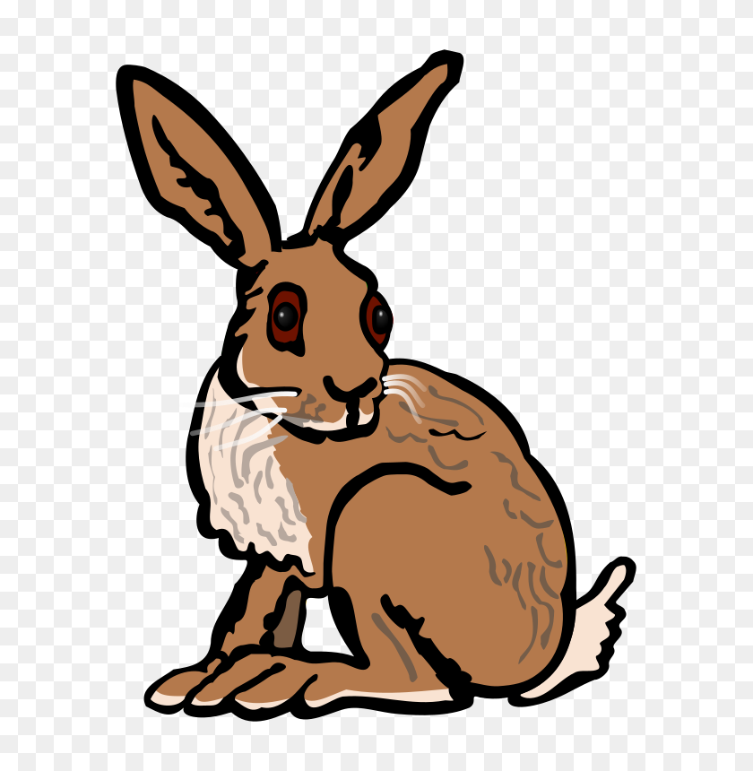 631x800 Collection Of Hares Clipart - Snowshoe Clipart