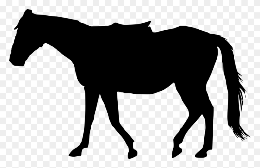 851x527 Collection Of Horse Silhouette Png Download Them And Try To Solve - White Horse PNG