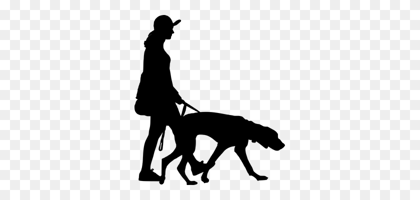 301x340 Collection Of Lady Walking Dog Silhouette Download Them And Try - Walking A Dog Clipart