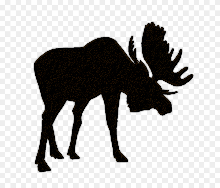 1077x909 Collection Of Moose Head Silhouette Clip Art Download Them - Deer Head Silhouette PNG