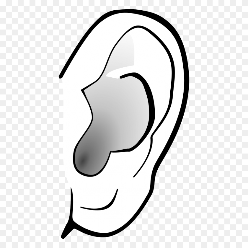 800x800 Collection Of Pair Of Ears Clipart High Quality Free Cliparts - Ear Clipart Black And White
