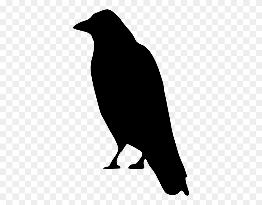 372x597 Collection Of Raven Clipart - Pheasant Clip Art