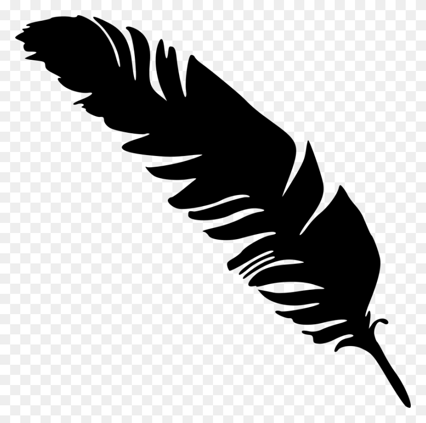 850x845 Collection Of Silhouette Feather Download Them And Try To Solve - Feather Clipart Black And White