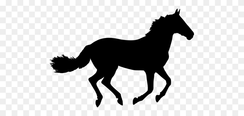 497x340 Collection Of Stallion Silhouette Download Them And Try To Solve - Stallion Clipart