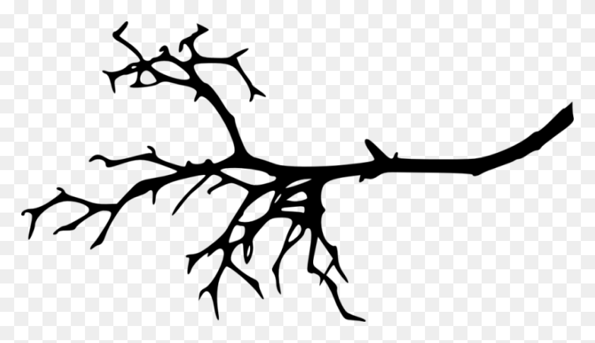 850x463 Collection Of Tree Limb Silhouette Download Them And Try To Solve - Witch Silhouette PNG