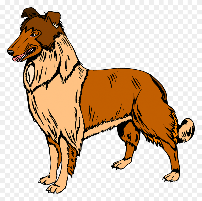 958x952 Collie Clipart Real Dog - Clipart Pug Gratis