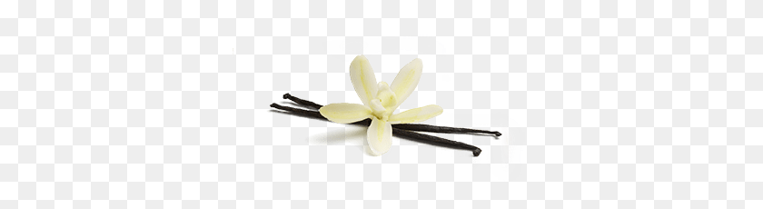 327x170 Colombian Decaf Single Serve - Vanilla Bean PNG