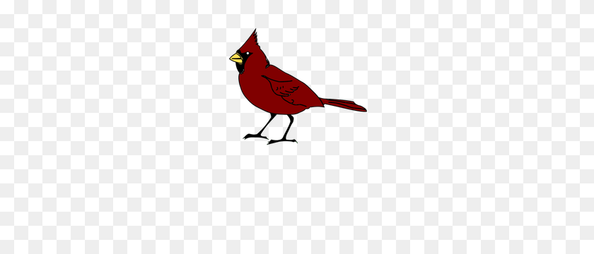 211x300 Color Drawing Of The State Bird - Cardinal Bird Clipart