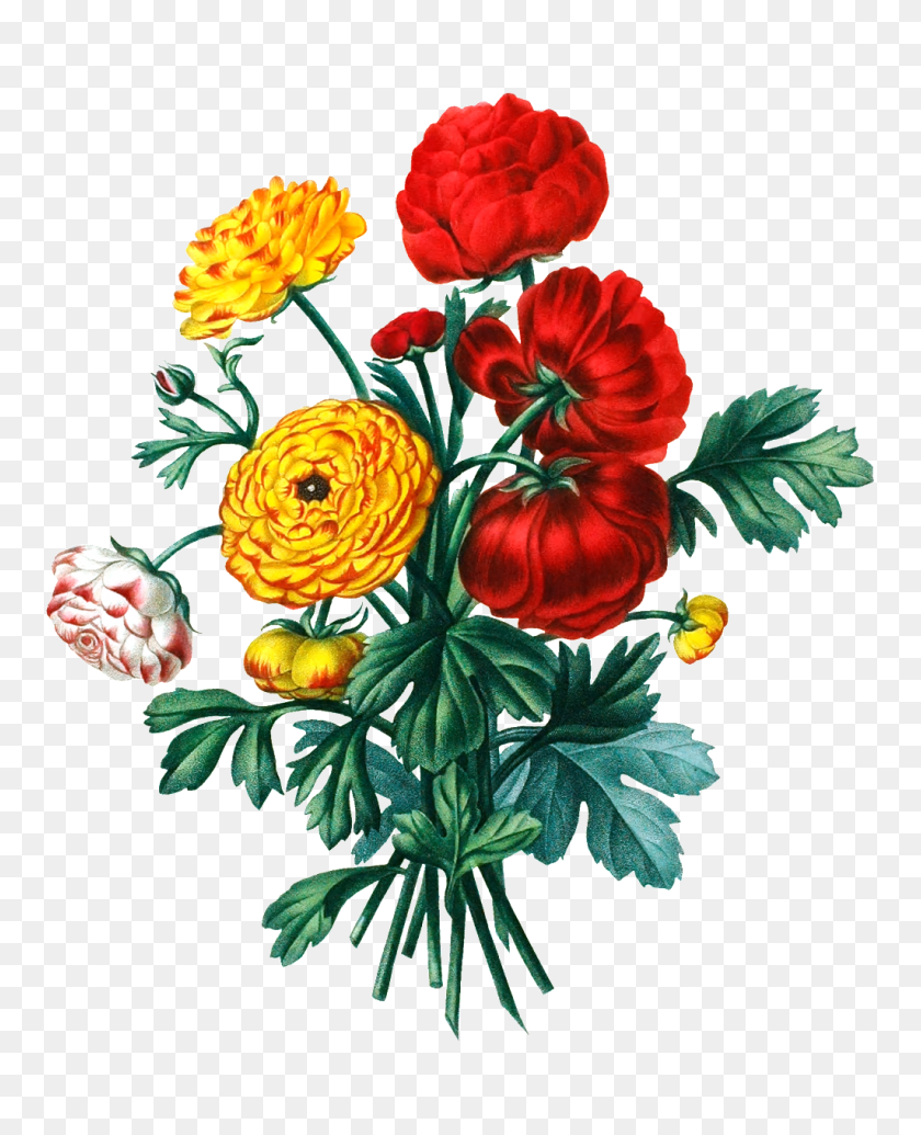 1024x1280 Color Hd Flower Bouquet Physical Elements Free Png Download - Flower Bouquet PNG