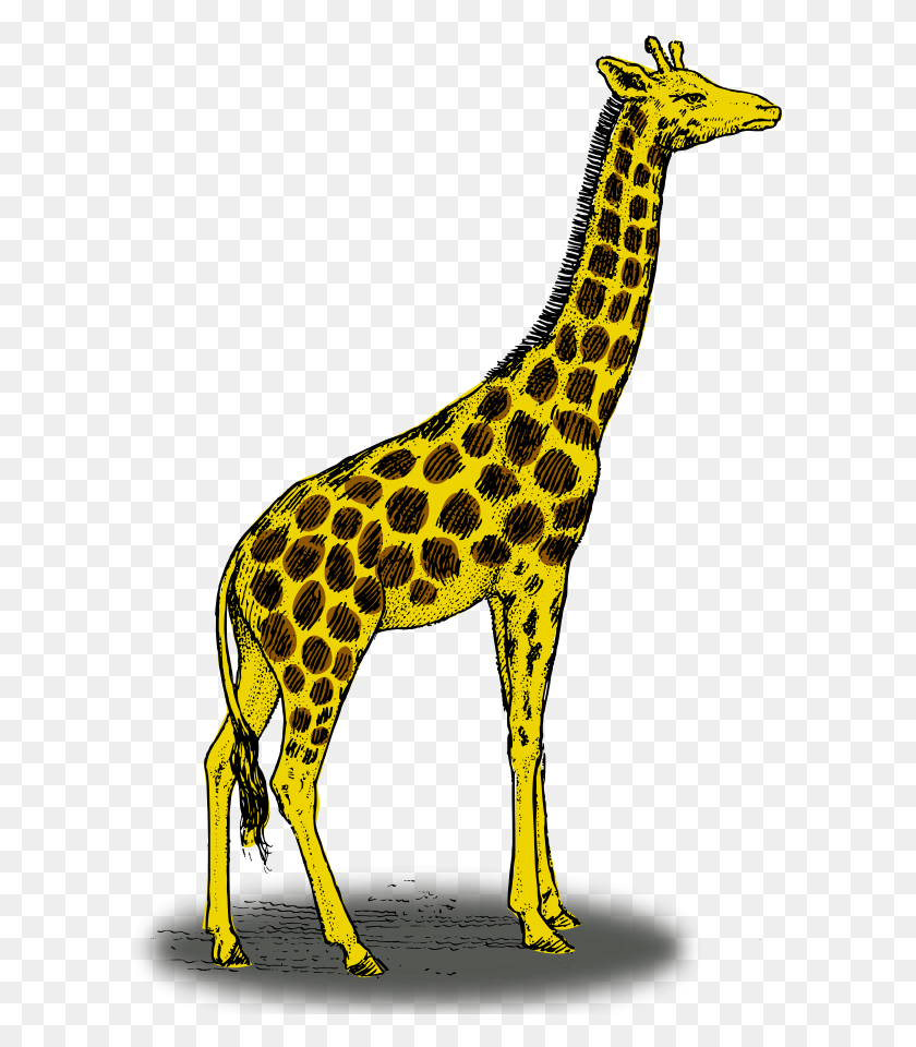 600x900 Цветной Жираф Png Клипарт Для Интернета - Жираф Png