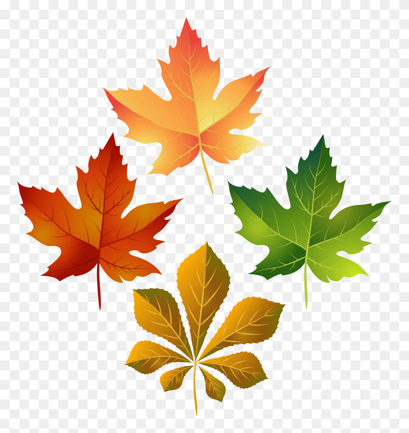 7520x8000 Colorful Autumn Leaves Png Clip Art - Oak Leaf PNG