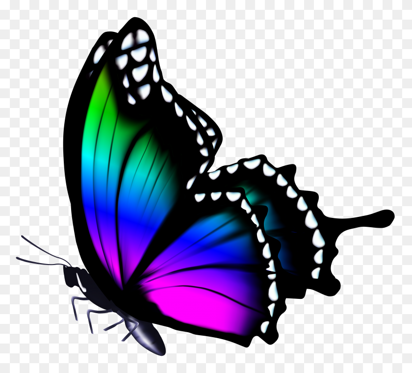 5000x4488 Разноцветные Бабочки Png Картинки - Бабочка Клипарт Png