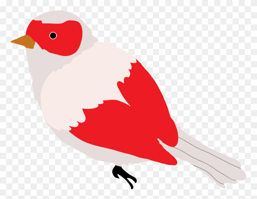 1181x896 Dibujos De Pájaros Coloridos - Red Bird Clipart