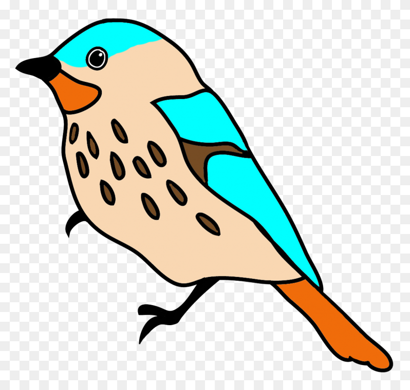 1181x1121 Dibujos De Aves Coloridas - Songbird Clipart