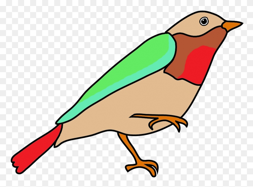 1181x852 Colorful Drawings Of Birds - Fantasy Clipart