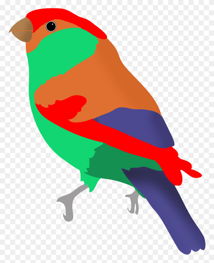 1063x1325 Colorful Drawings Of Birds - Green Bird Clipart